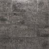 Swingstone 30x60x6 cm Cha Cha 2.0 - per 4 st