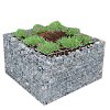 Bloembak maas 5 cm 70x40x70 cm Op=Op