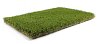 Royal Grass EcoSense (4 meter breed)