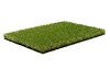 Royal Grass Lush (2 meter breed)