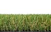 Royal Grass Lush (4 meter breed)