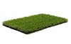 Royal Grass Sense (4 meter breed) Op=Op