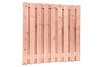 W41096 Douglas Plankenscherm 19 planks geschaafd 180x180 cm onbehandeld**