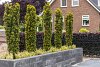 Blockstone getrommeld 15x15x60 cm Black - per st