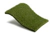 Royal Grass Bliss (4 meter breed)