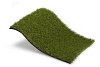 Royal Grass Lush (4 meter breed)