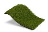 Royal Grass Sense (4 meter breed) Op=Op