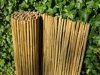 Flexibele bamboe rollen dik Dalien 180x180 cm