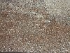 Breakstone 30x60x6 cm Samba - per 4 st