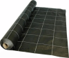 Wegendoek/anti-worteldoek Zwart, 2 meter breed