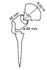 SCOPE 12V / 3W (5,2 VA)