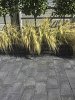 Lunyton Extra 20x30x6 cm Blackberry - per 16 st