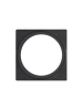 PLATE 1 Black
