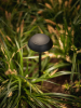 MINI SWAY EXTRA LOW 35 cm 12V/0,6VA Pearl Grey (NR 4 + 5)