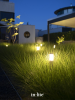 LIV 12V / 1,5W (2,5 VA) Dark