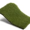 Royal Grass Blossom (4 meter breed)
