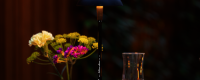 Table Lamps