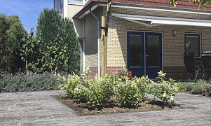 Swingstone XXS 30x60x4 cm Cha Cha 2.0 - per 7 st