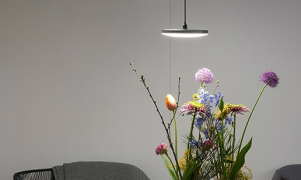 DISC PENDANT 12V (NR 6)