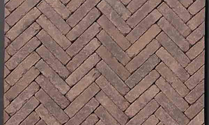 Queenclass Strengpers WF getrommeld 5x20,4x6 cm Jane