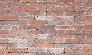 Lunyton Extra WF 5x20x7,3 cm Strawberry