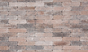Lunyton Extra WF 5x20x7,3 cm Grape