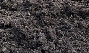 Zwarte grond, HBB