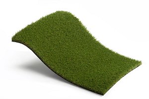 Royal Grass Aura (2 meter breed)