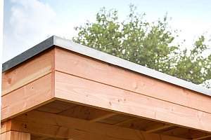 W1005853 Aluminium daktrim t.b.v. douglasvision platdak max. dakmaat 1000x550 cm