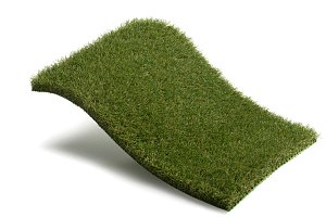 Royal Grass Bliss (4 meter breed)