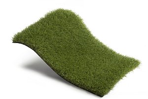 Royal Grass Blossom (2 meter breed)