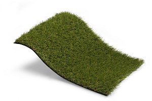Royal Grass Lush (4 meter breed)