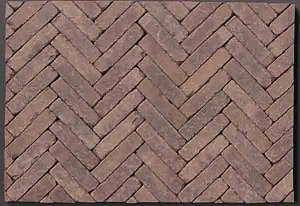 Queenclass Strengpers WF getrommeld 5x20,4x6 cm Jane