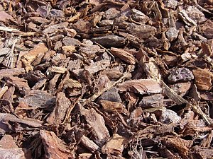 Boomschors eigen - BB