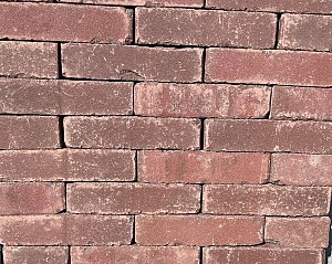 Queenclass Strengpers WF getrommeld 5x20,4x6 cm Ava