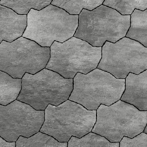 Organic 39x53x6 cm Cha Cha - per 6 st