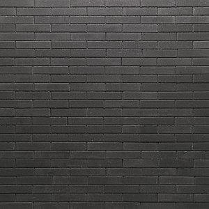 Texas WF ongetrommeld 5x20x6 cm Obama