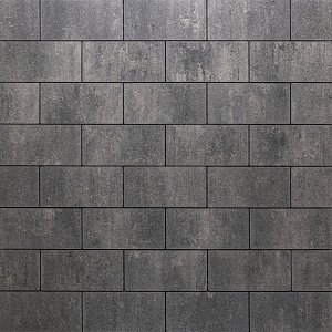 Swingstone XL (waterdoorlatend) 15x30x8 cm Cha Cha