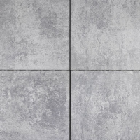 Trippel T 30x60x4 cm Grijs Nuance