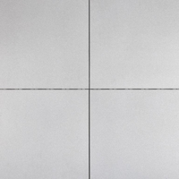 Trippel T 30x60x4 cm Licht Grijs