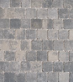 Gentronne  10x10x6 cm Nelle hyd - per 160 st.