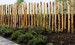Chestnut wood posts