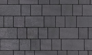 CeraCevella Forrest Herbs