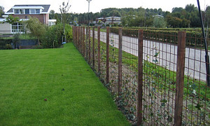 Wire fencing
