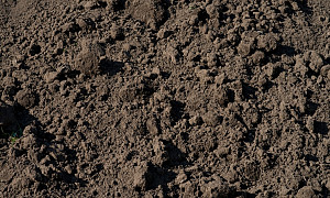 Soil