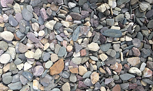Flachkorn