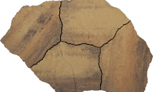 GeoArdesia Alivo