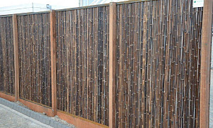 Natural barriers