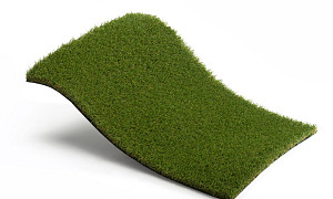 Royal Grass Aura