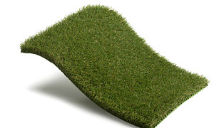 Royal Grass Bliss Eco